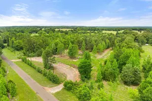 Tbd County Road 2790, Mineola, TX 75773 - Photo 1