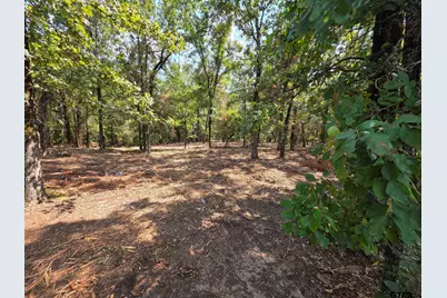Lot 2 Cr 2710, Mt Pleasant, TX 75455 - Photo 6