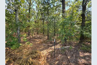 Lot 2 Cr 2710, Mt Pleasant, TX 75455 - Photo 48
