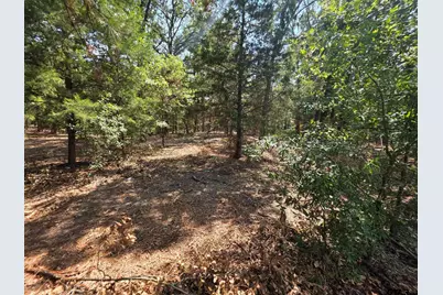 Lot 2 Cr 2710, Mt Pleasant, TX 75455 - Photo 12