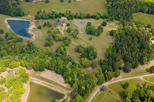 617 Pr 1134, Gilmer, TX 75644 - Photo 46