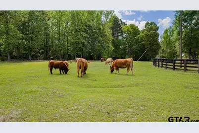 617 Pr 1134, Gilmer, TX 75644 - Photo 48