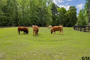 617 Pr 1134, Gilmer, TX 75644 - Photo 48