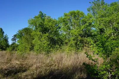 6902 Stella St, Murchison, TX 75778 - Photo 8