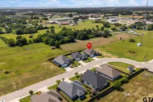 103 Wesson St, Gun Barrel City, TX 75156 - Photo 42