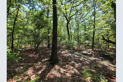 Lot 1 and 2 Cr 2710, Mt Pleasant, TX 75455 - Photo 18