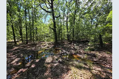 Lot 1 and 2 Cr 2710, Mt Pleasant, TX 75455 - Photo 32