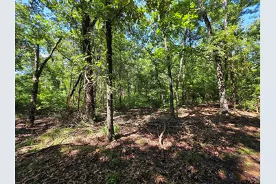 Lot 1 and 2 Cr 2710, Mt Pleasant, TX 75455 - Photo 28