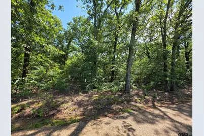 Lot 1 and 2 Cr 2710, Mt Pleasant, TX 75455 - Photo 8