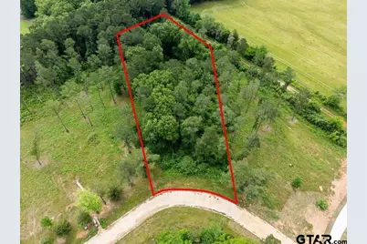 0000 Cottonwood Circle, Hallsville, TX 75650 - Photo 1