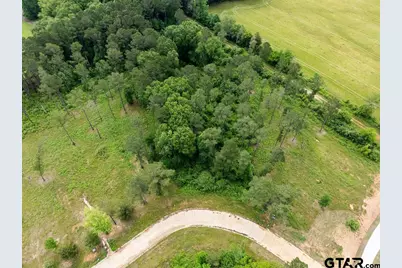 0000 Cottonwood Circle, Hallsville, TX 75650 - Photo 2
