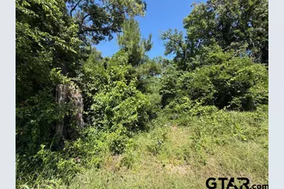 1153 Cr 342, Henderson, TX 75654 - Photo 4