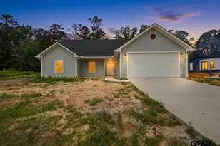 12282 County Rd 224, Arp, TX 75750 - Photo 1