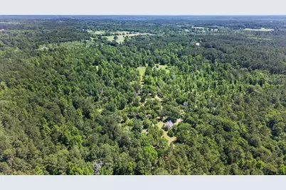 0 Anderson County Road 359, Palestine, TX 75801 - Photo 8