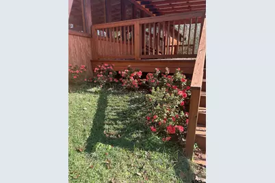 717 Pr 6665, Mineola, TX 75773 - Photo 22