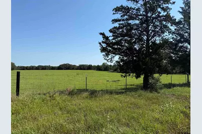 Tbd Fm 1001, Cookville, TX 75558 - Photo 1