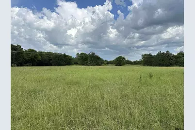 3697 An County Road 309 Tract 1, Frankston, TX 75763 - Photo 12