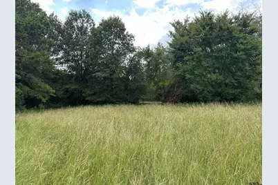 3697 An County Road 309 Tract 2 B North Tract, Frankston, TX 75763 - Photo 12