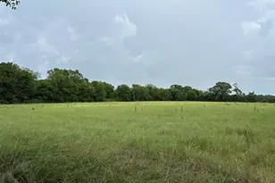 3697 An County Road 309 Tract 2 A South Tract, Frankston, TX 75763 - Photo 1