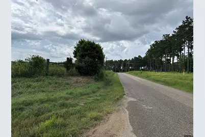 3697 An County Road 309 Tract 2 A South Tract, Frankston, TX 75763 - Photo 18