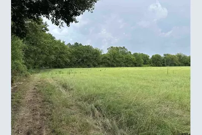 3697 An County Road 309 Tract 2 A South Tract, Frankston, TX 75763 - Photo 2