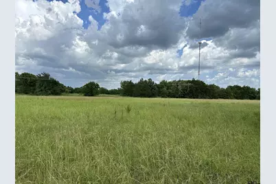 3697 An County Road 309 Tract 2 A South Tract, Frankston, TX 75763 - Photo 10