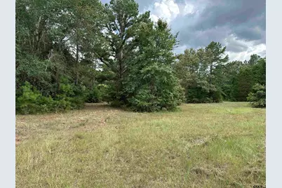 3697 An County Road 309 Tract 2 A South Tract, Frankston, TX 75763 - Photo 14
