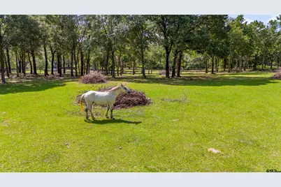 000 Vz County Road 4505, Ben Wheeler, TX 75754 - Photo 16