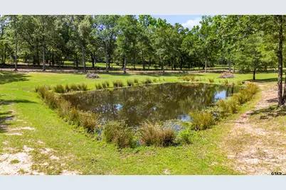 000 Vz County Road 4505, Ben Wheeler, TX 75754 - Photo 4
