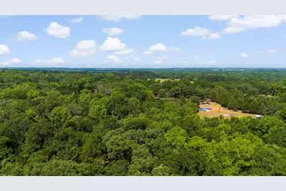 000 Vz County Road 4505, Ben Wheeler, TX 75754 - Photo 22