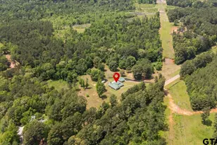 8549 FM 2064, Troup, TX 75789 - Photo 44