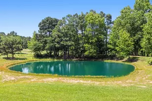 12754 Ridgeway Ct, Winona, TX 75792 - Photo 32