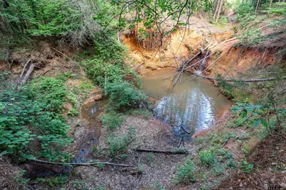 12581 Fm 2607, Arp, TX 75750 - Photo 32