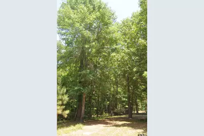 151 County Road 1521, Avinger, TX 75630 - Photo 32