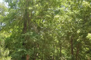 151 Co Rd 1521, Avinger, TX 75630 - Photo 32