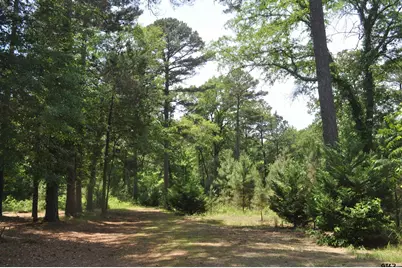 151 County Road 1521, Avinger, TX 75630 - Photo 4