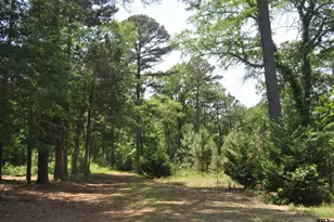 151 Co Rd 1521, Avinger, TX 75630 - Photo 4