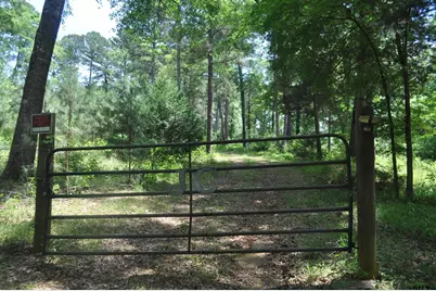 151 County Road 1521, Avinger, TX 75630 - Photo 48