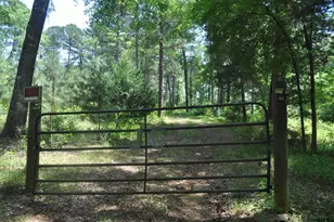 151 Co Rd 1521, Avinger, TX 75630 - Photo 48