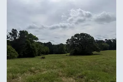 Tbd Cr 1404 -60.30 Acres, Jacksonville, TX 75766 - Photo 2