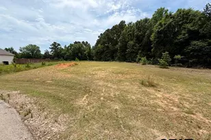 14973 Turtle Crk Rnch Rd, Flint, TX 75762 - Photo 1