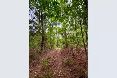 Tbd County Road 4504, Jacksonville, TX 75766 - Photo 10