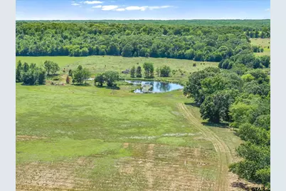 Tbd Cr 4509, Ben Wheeler, TX 75754 - Photo 8