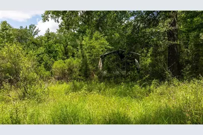 2189 Fm 19, Palestine, TX 75801 - Photo 4
