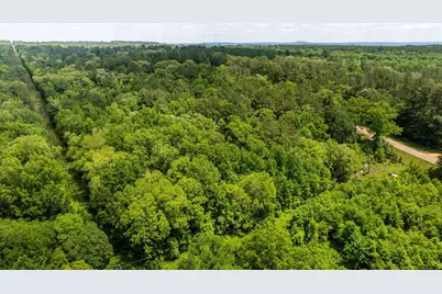 2189 Fm 19, Palestine, TX 75801 - Photo 6