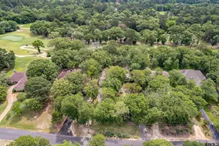 960 Greenbriar Trail, Holly Lake Ranch, TX 75765 - Photo 44