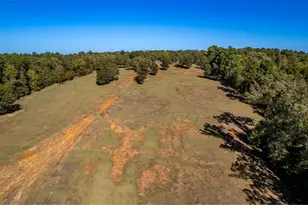 15198 E Fm 16, Winona, TX 75792 - Photo 38
