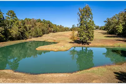 15198 E Fm 16, Winona, TX 75792 - Photo 34