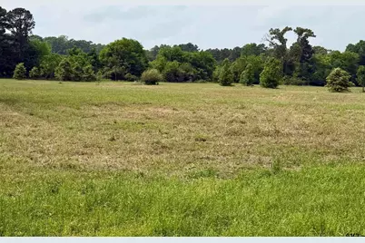 0000 Private Road 7407, Brownsboro, TX 75756 - Photo 8
