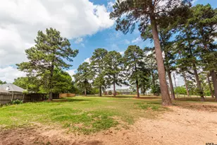 10775 Cr 214, Tyler, TX 75707 - Photo 38